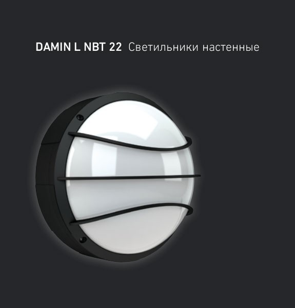 Обзор характеристик DAMIN L NBT 22