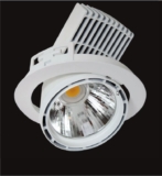 Lean Downlight