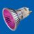 POPLINE 50W BLV