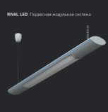 RIVAL LED