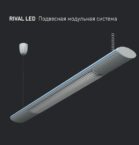 RIVAL LED