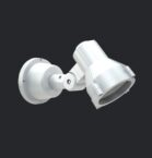 NBS 20