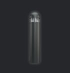 NFB 81
