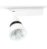 Procyon 1 LED 25