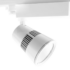 Procyon 2
