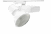 Procyon 2