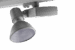 Procyon 2