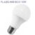 FL-LED-A60 ECO 15W