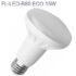 FL-LED-SOLO Ellipse A