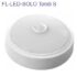 FL-LED-T5